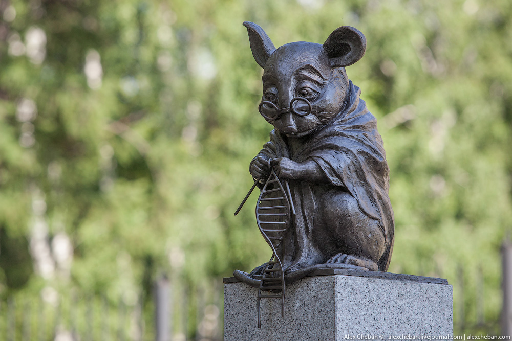 statua in onore dei topi di laboratorio