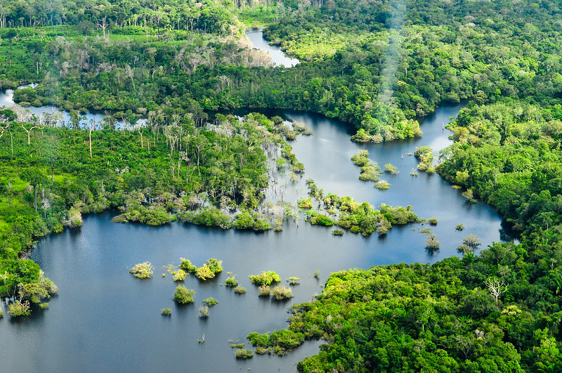 Foresta delle Amazzoni dall'alto