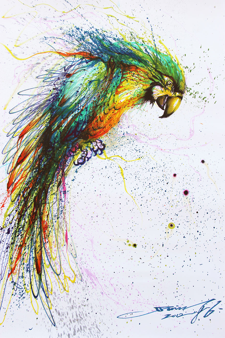 hua tunan animali schizzi d'inchiostro pappagallo colorato