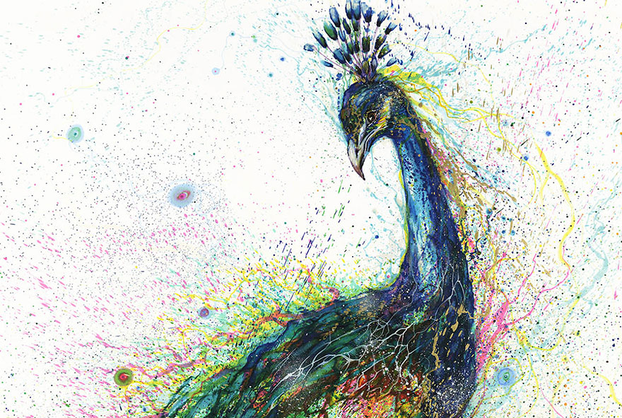 hua tunan animali schizzi d'inchiostro pavone