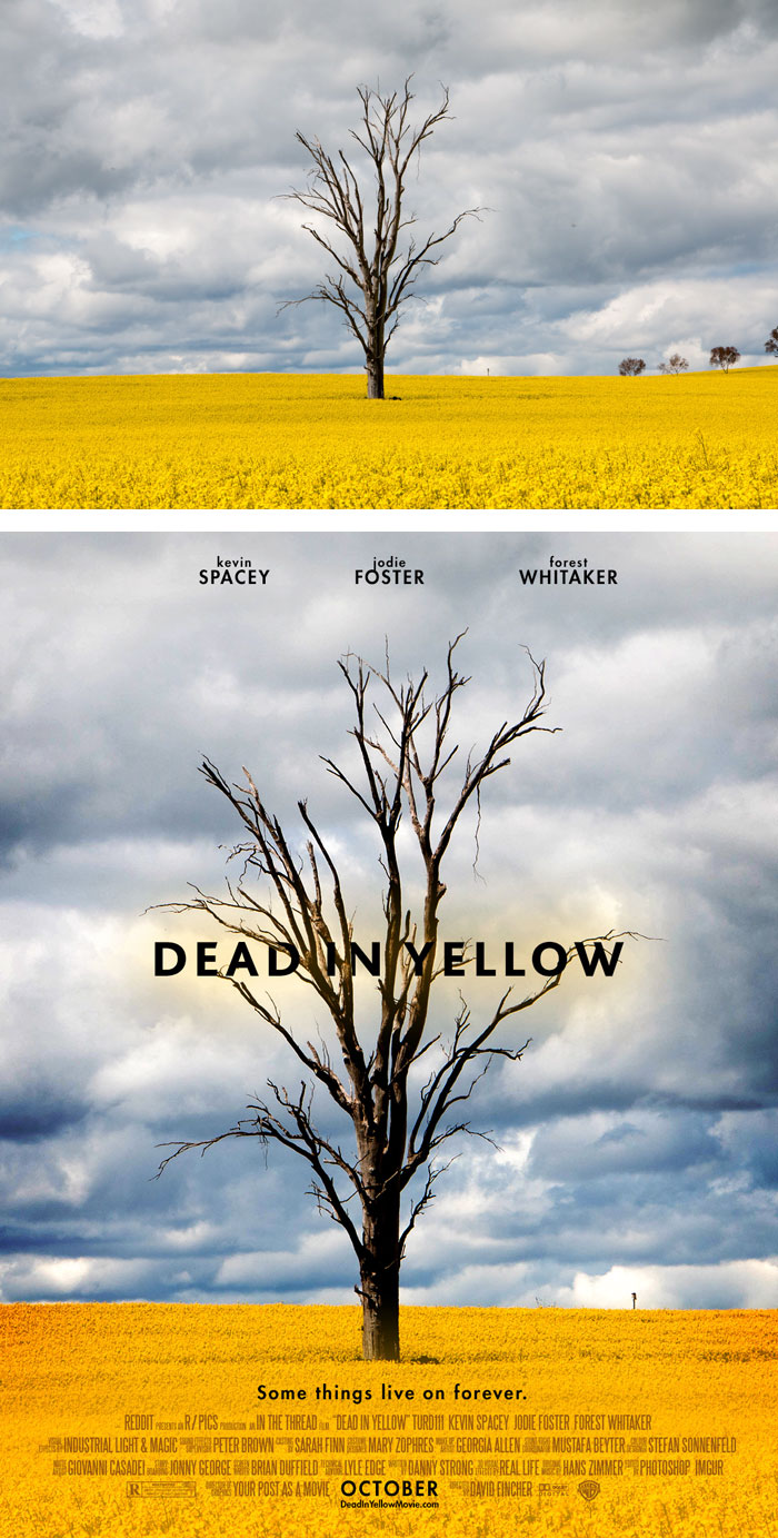 foto casuali trasformate in poster film