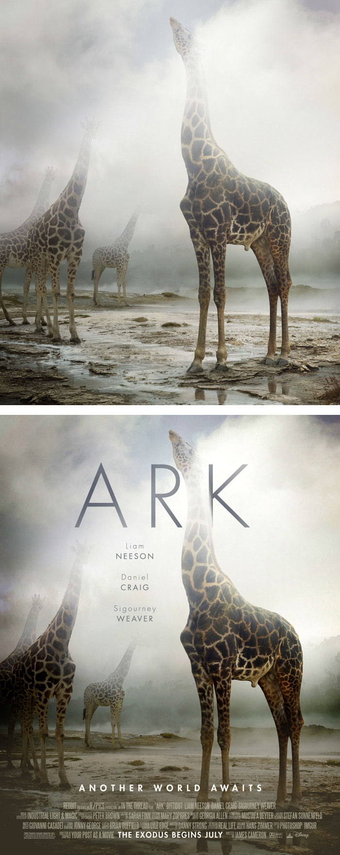foto casuali trasformate in poster film