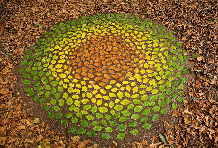 mandala con elementi naturali