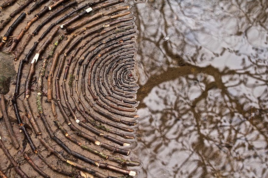 mandala con elementi naturali