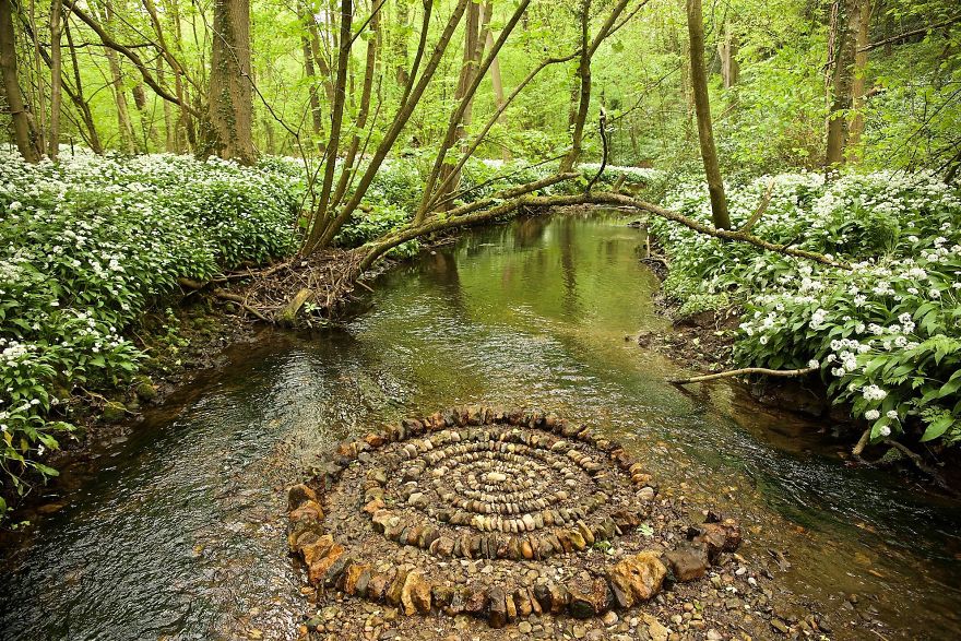 mandala con elementi naturali