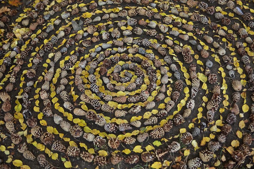 mandala con elementi naturali