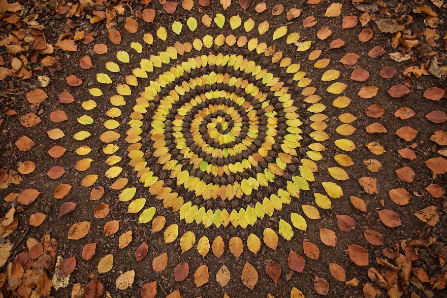 mandala con elementi naturali