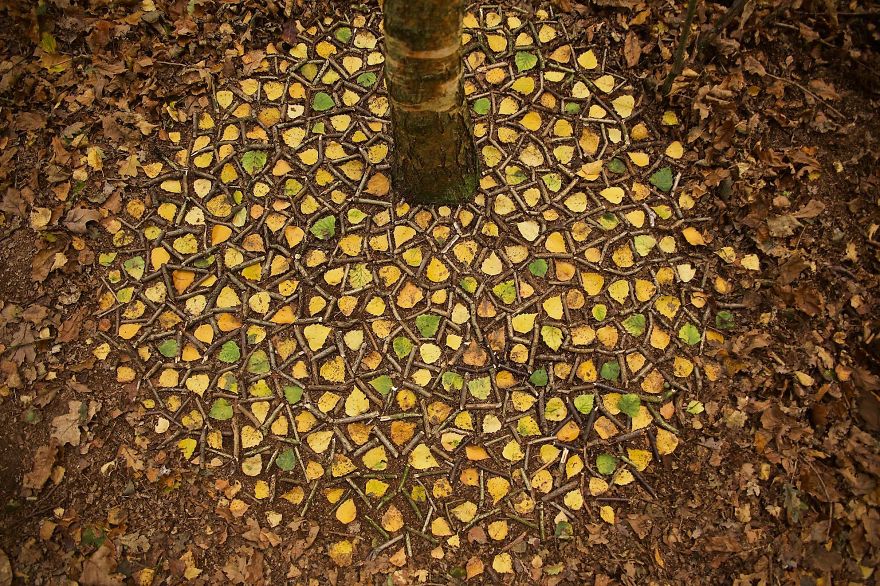 mandala con elementi naturali