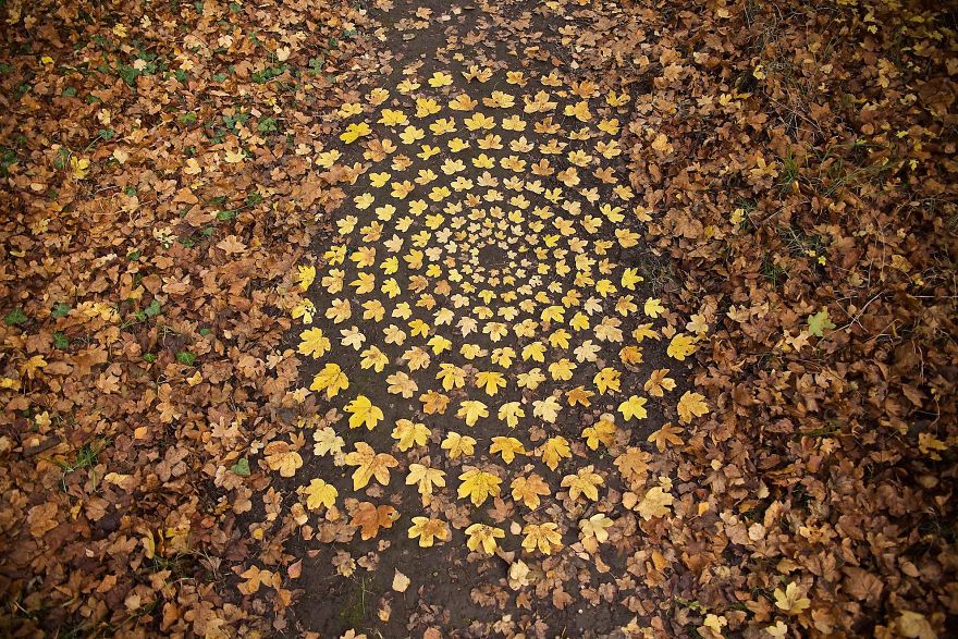 mandala con elementi naturali