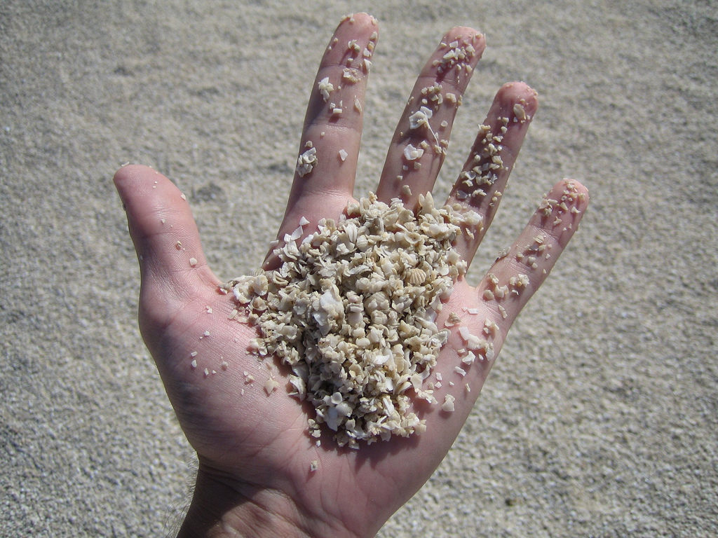Shell Beach, , la piccola spiaggia Australia fatta interamente di piccole conchiglie