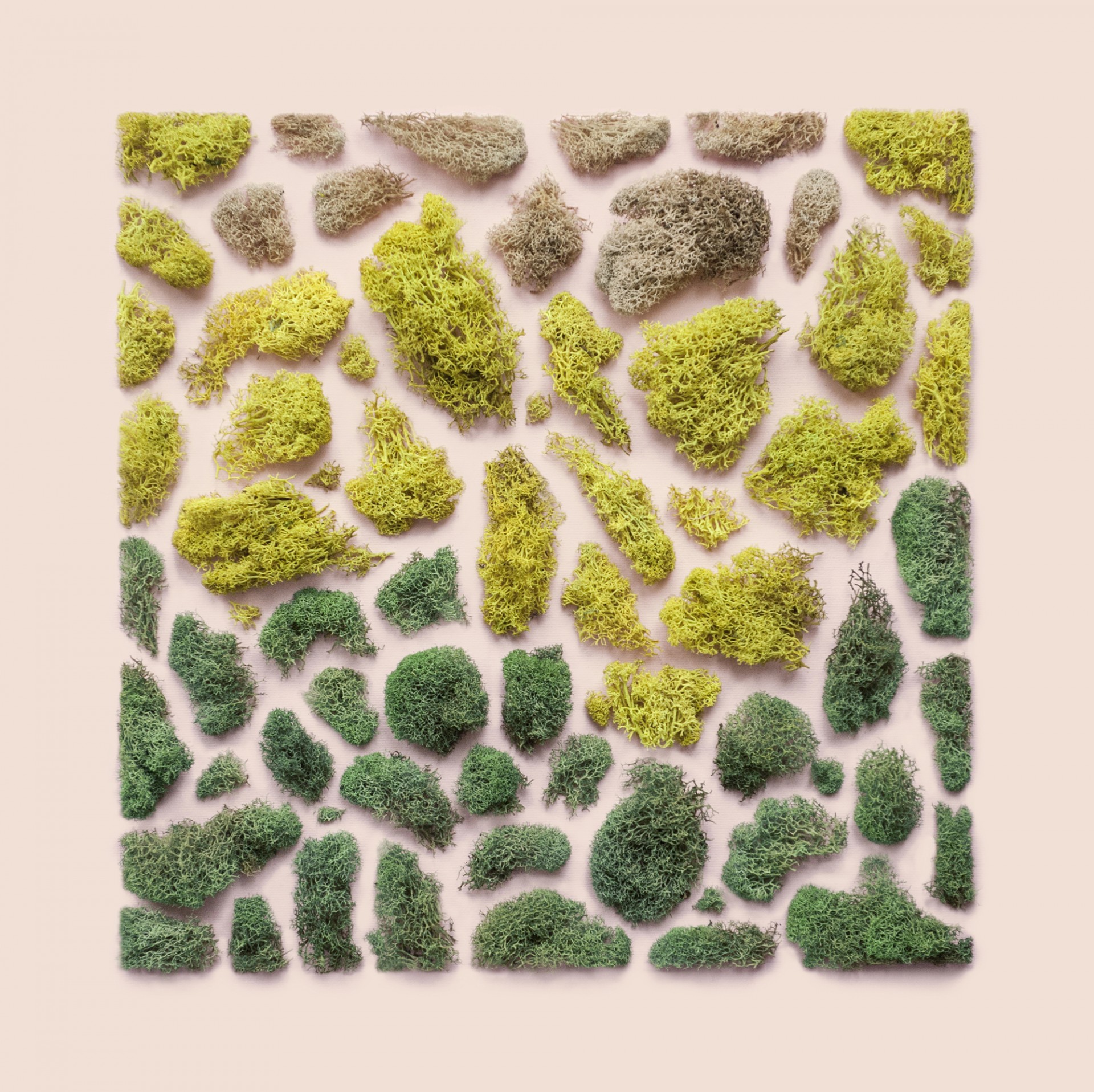 composizioni geometriche con materiali naturali