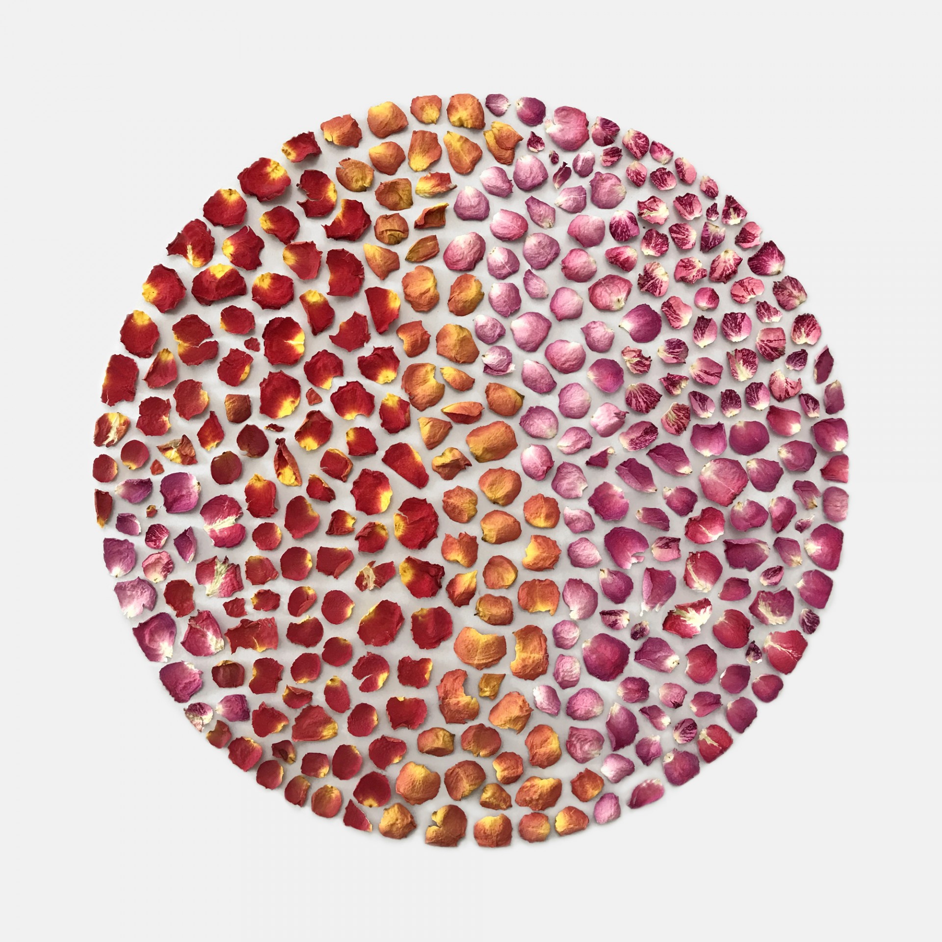 composizioni geometriche con materiali naturali