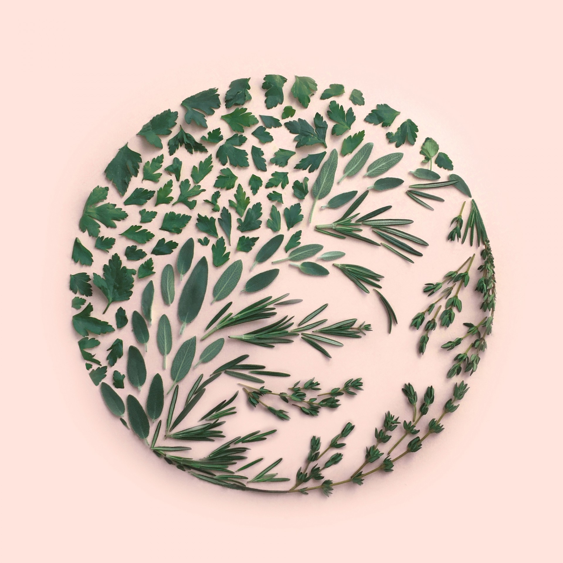 composizioni geometriche con materiali naturali
