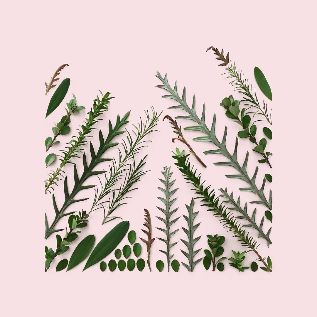 composizioni geometriche con materiali naturali