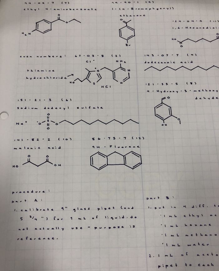 Esempi di bella calligrafia