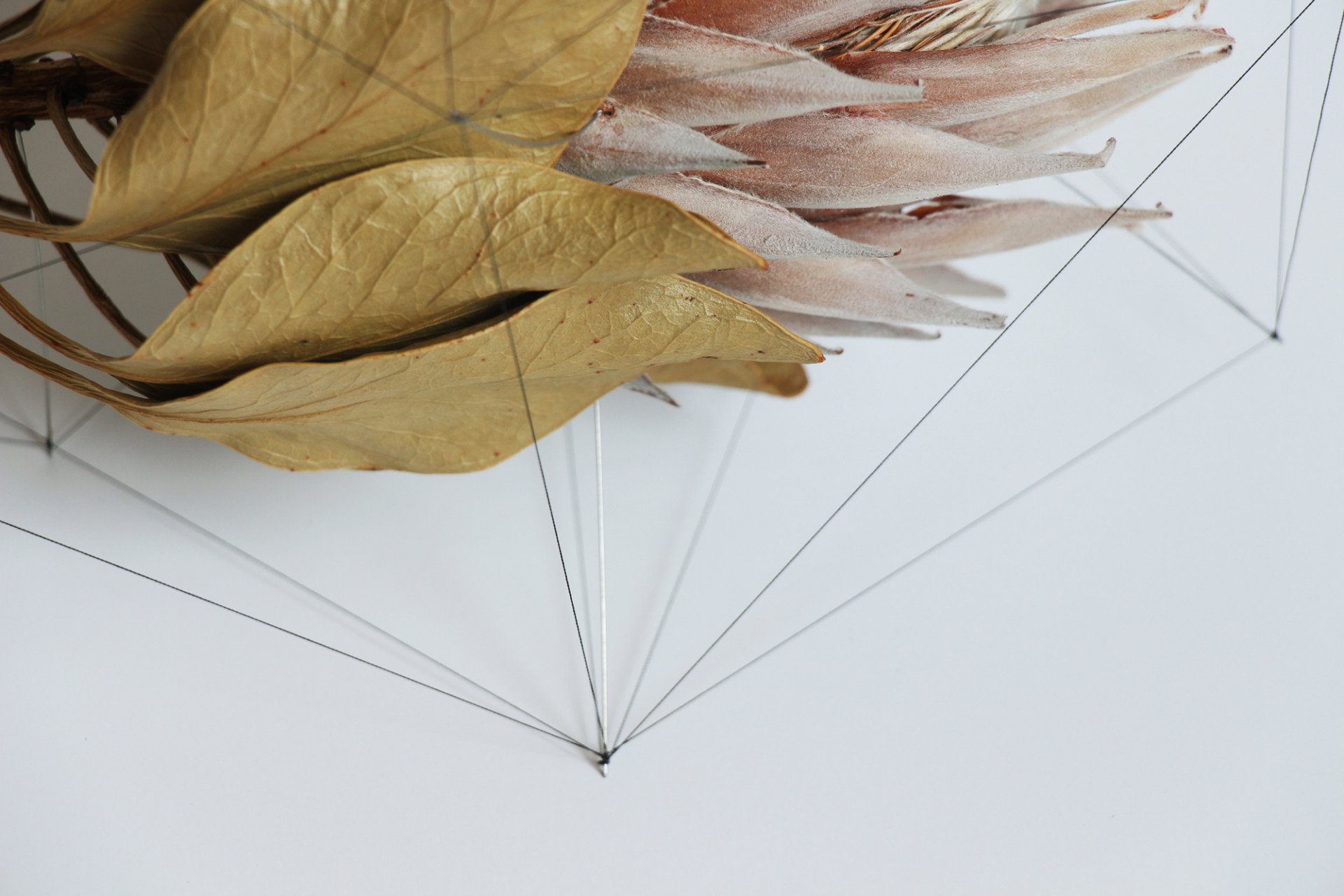  fiori e forme poligonali di Norihiko Terayama