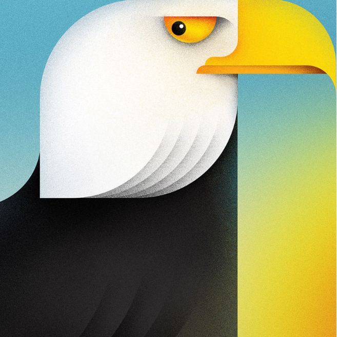 animali geometrici