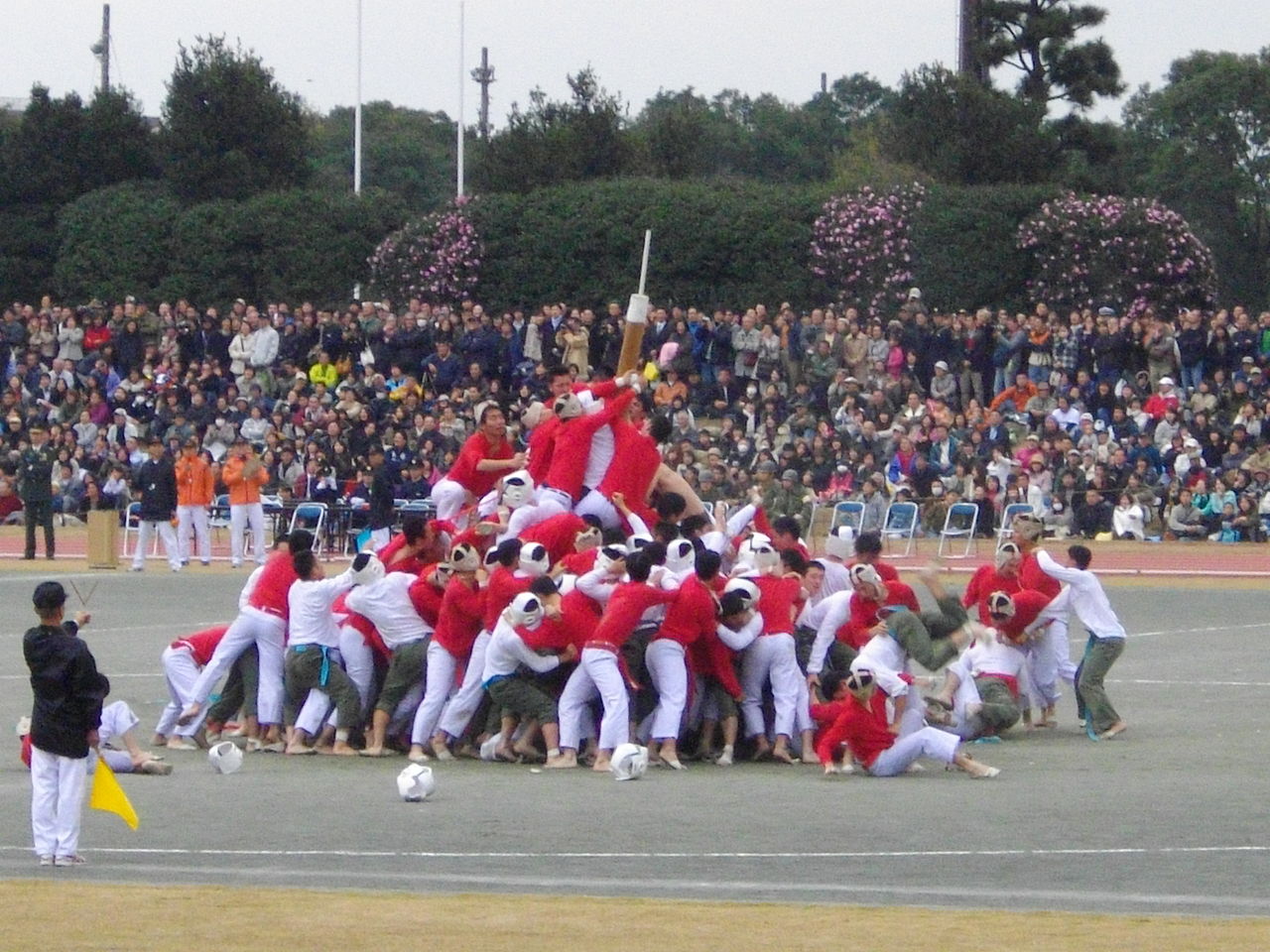 Bo-taoshi 
