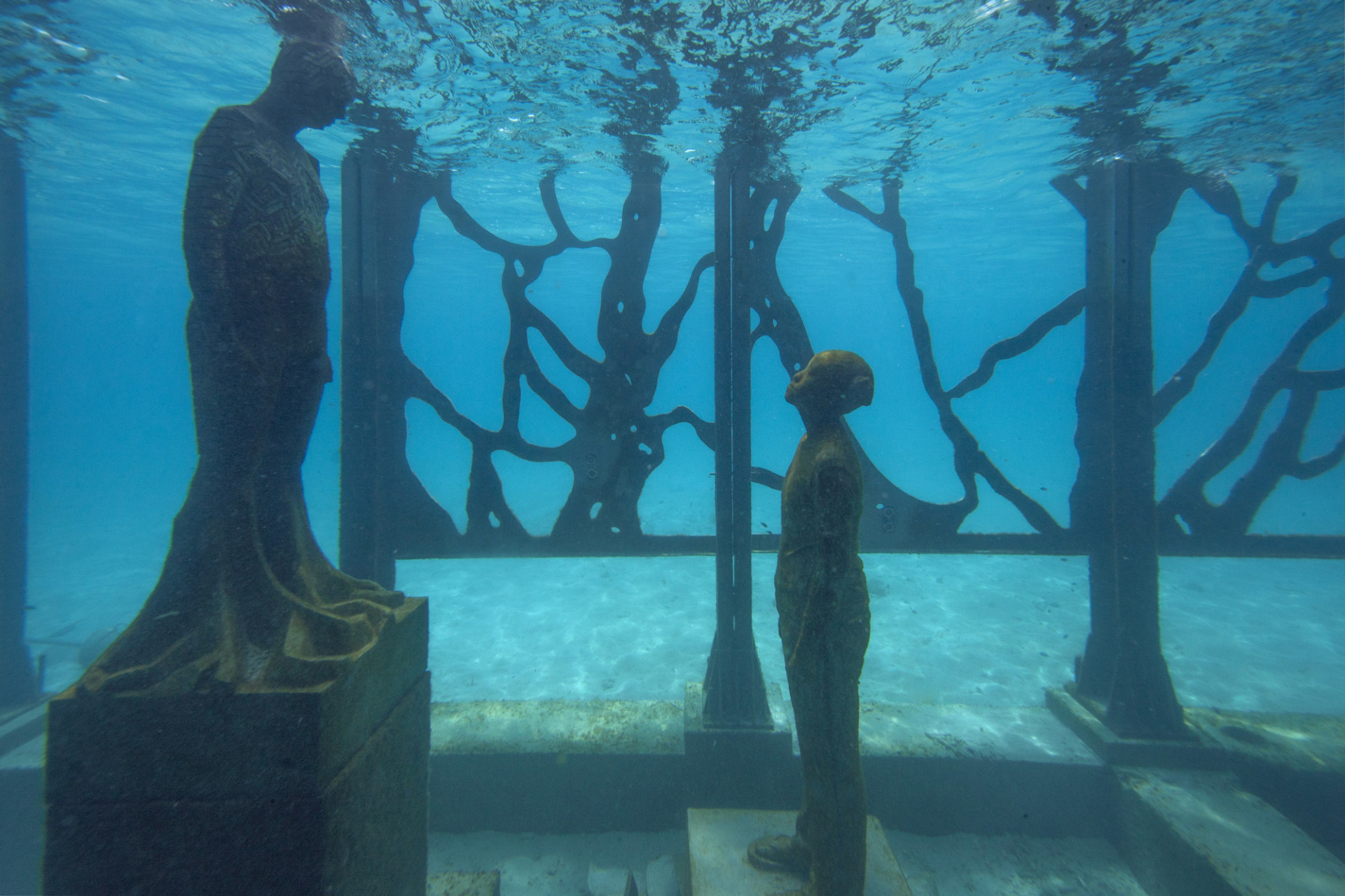 The Coralarium, museo immerso alle Maldive