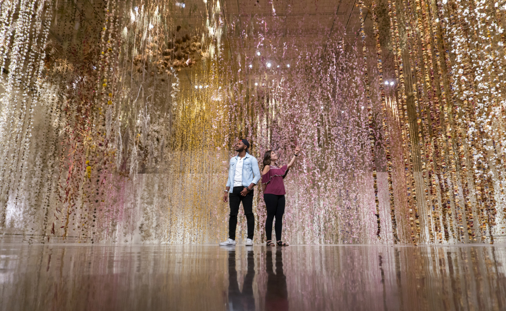 Community, fiori sospesi al Toledo Art Museum