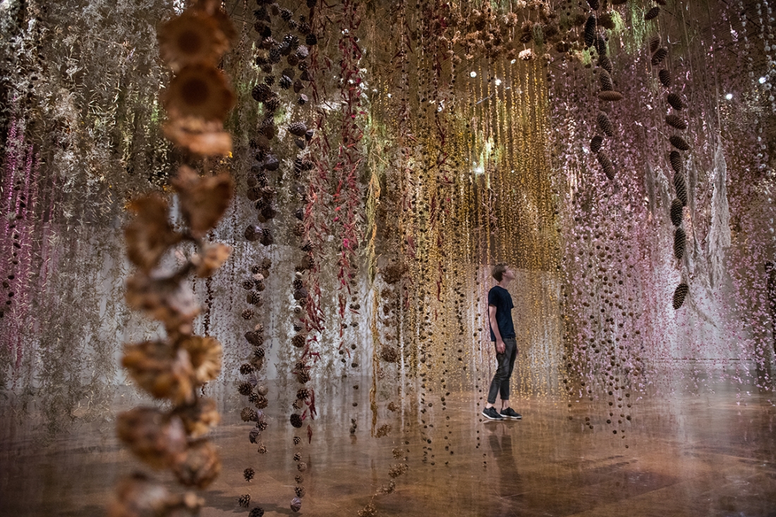 Community, fiori sospesi al Toledo Art Museum