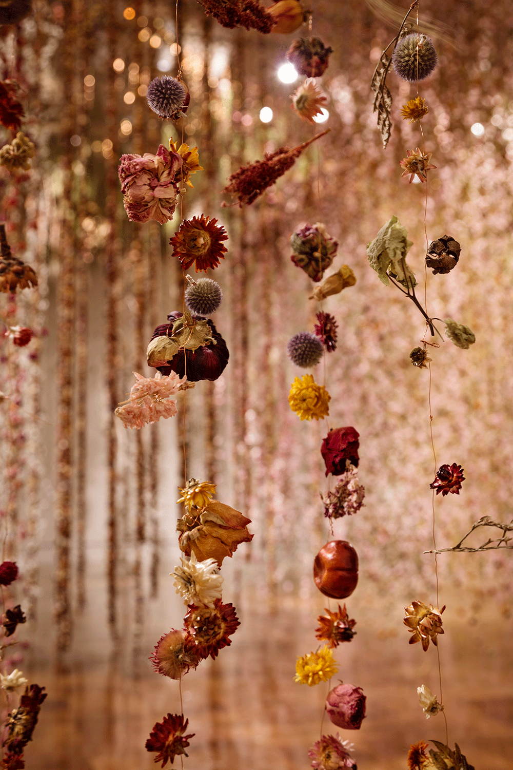 Community, fiori sospesi al Toledo Art Museum