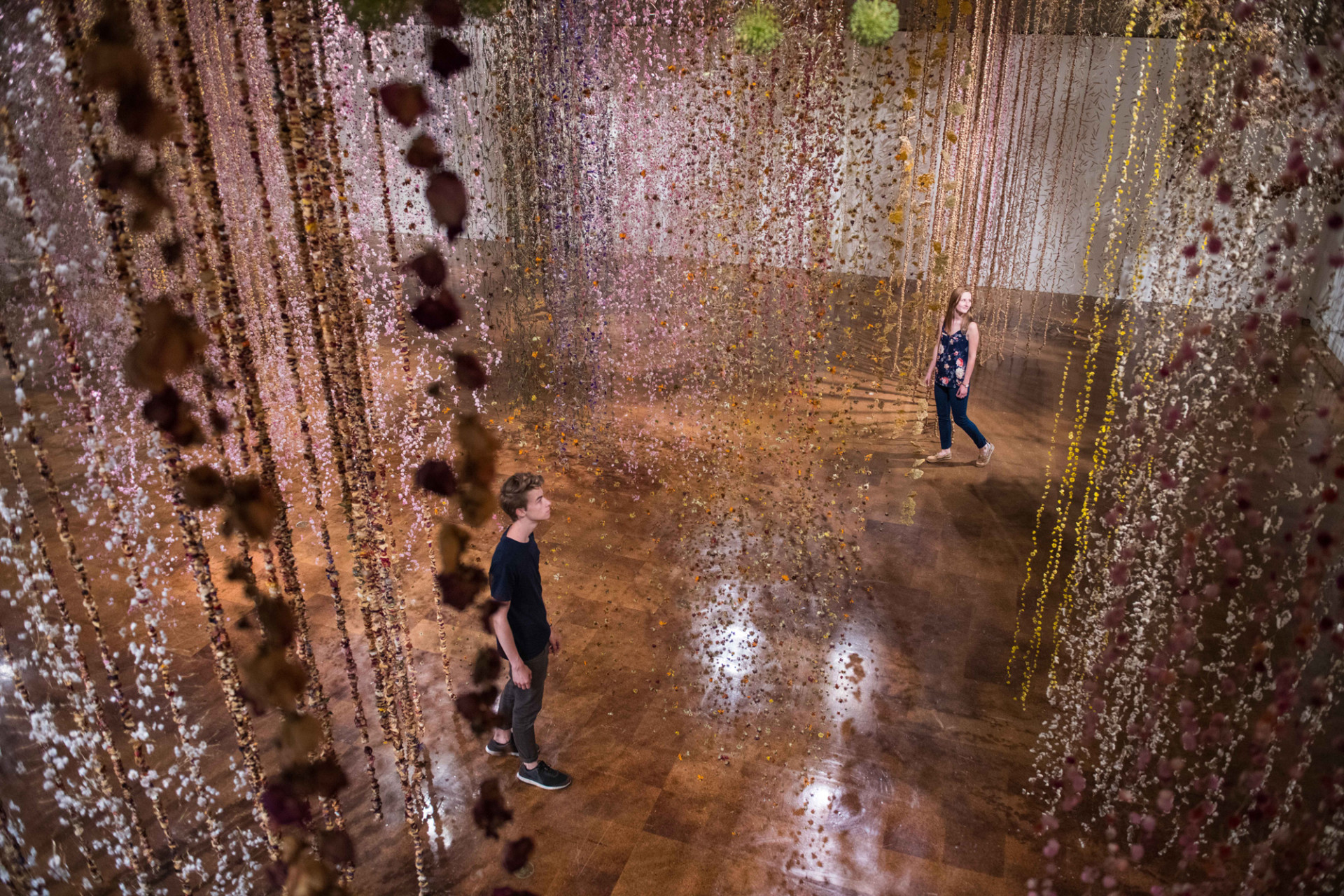 Community, fiori sospesi al Toledo Art Museum