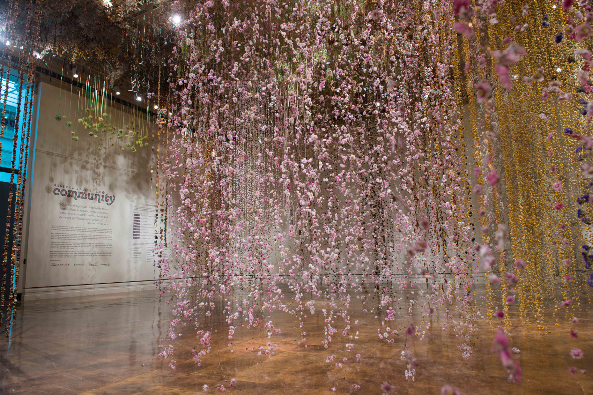 Community, fiori sospesi al Toledo Art Museum