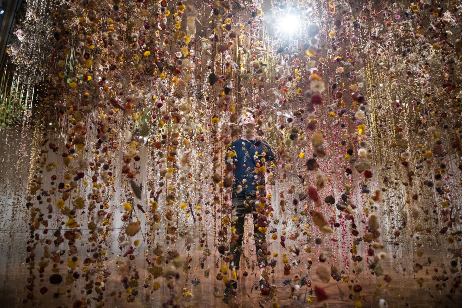 Community, fiori sospesi al Toledo Art Museum