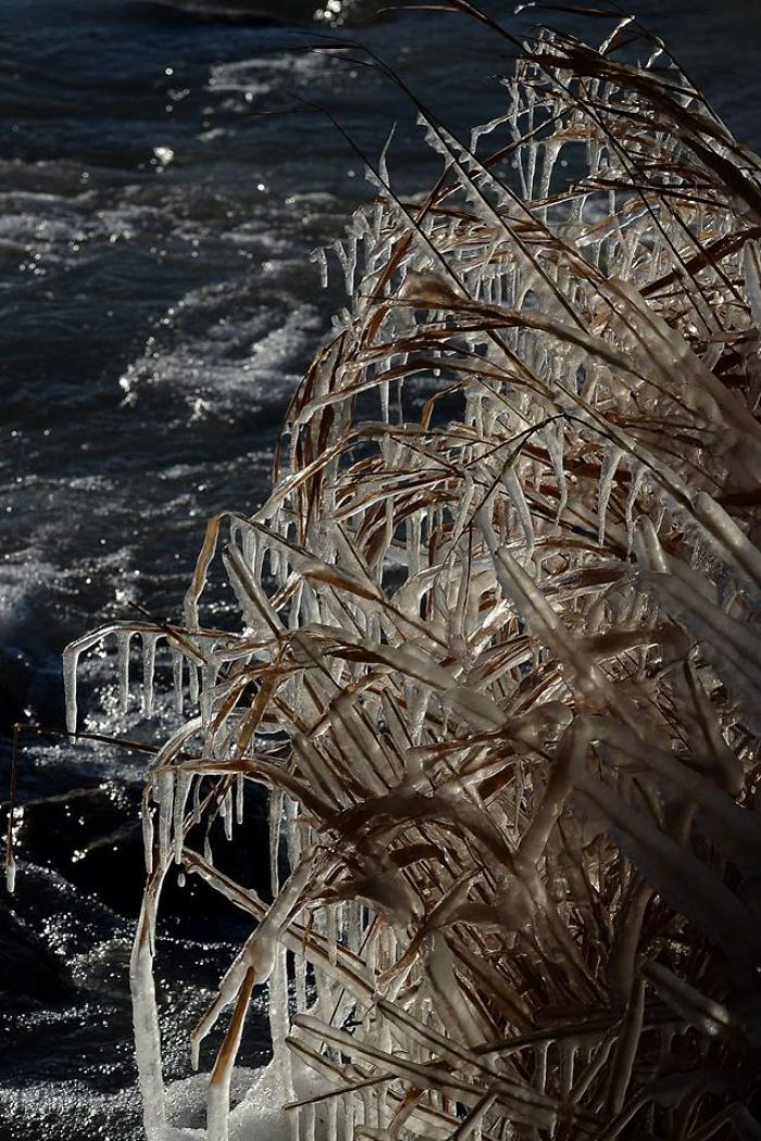 lago Balaton ghiacciato