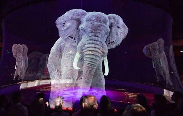 Circo Roncalli animali ologrammi
