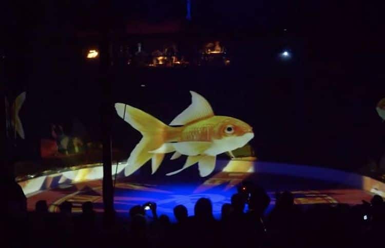 Circo Roncalli animali ologrammi