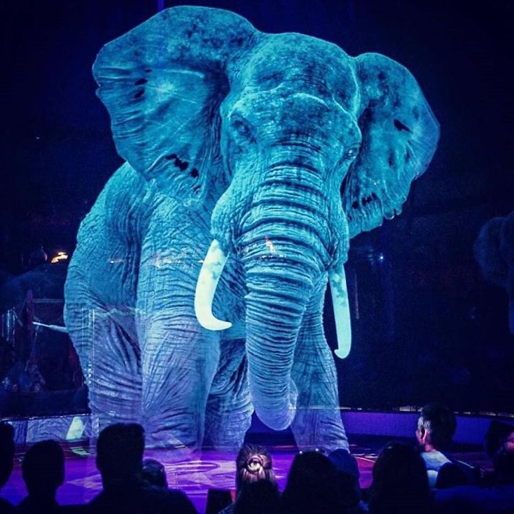 Circo Roncalli animali ologrammi
