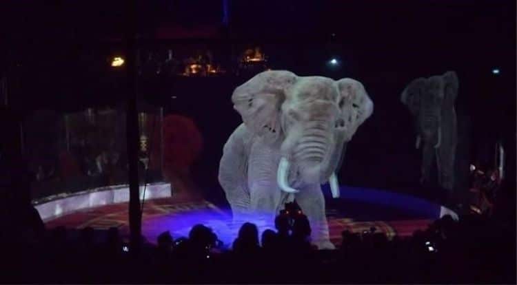 Circo Roncalli animali ologrammi
