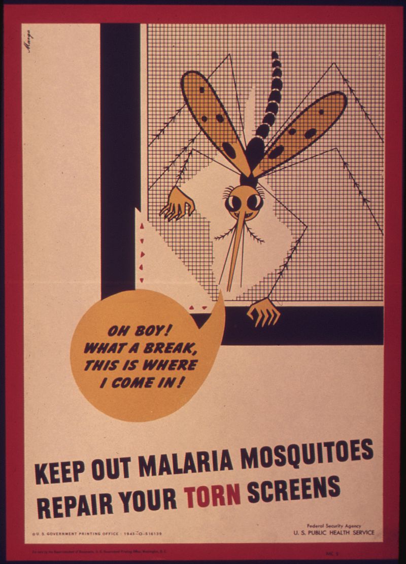 La Malarioterapia