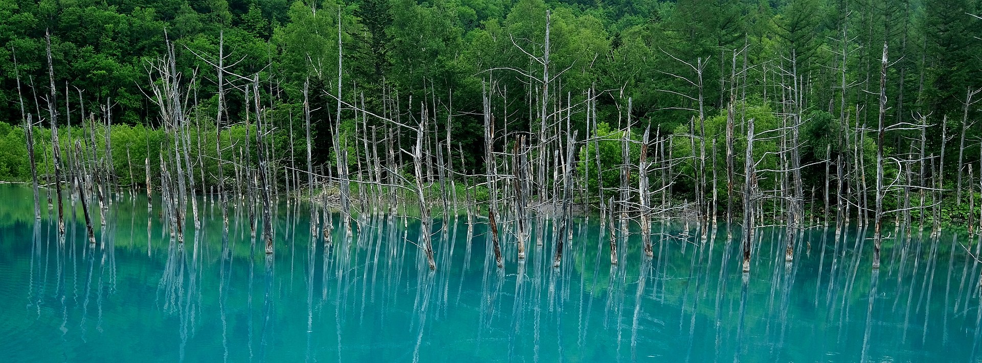 Shirogane Blue Pond di Hokkaido