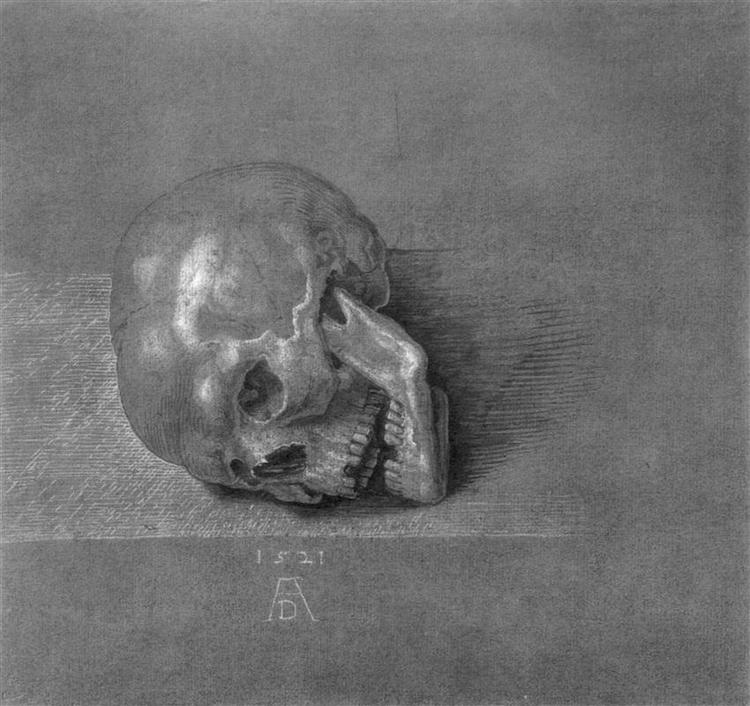 Albrecht Dürer, Teschio