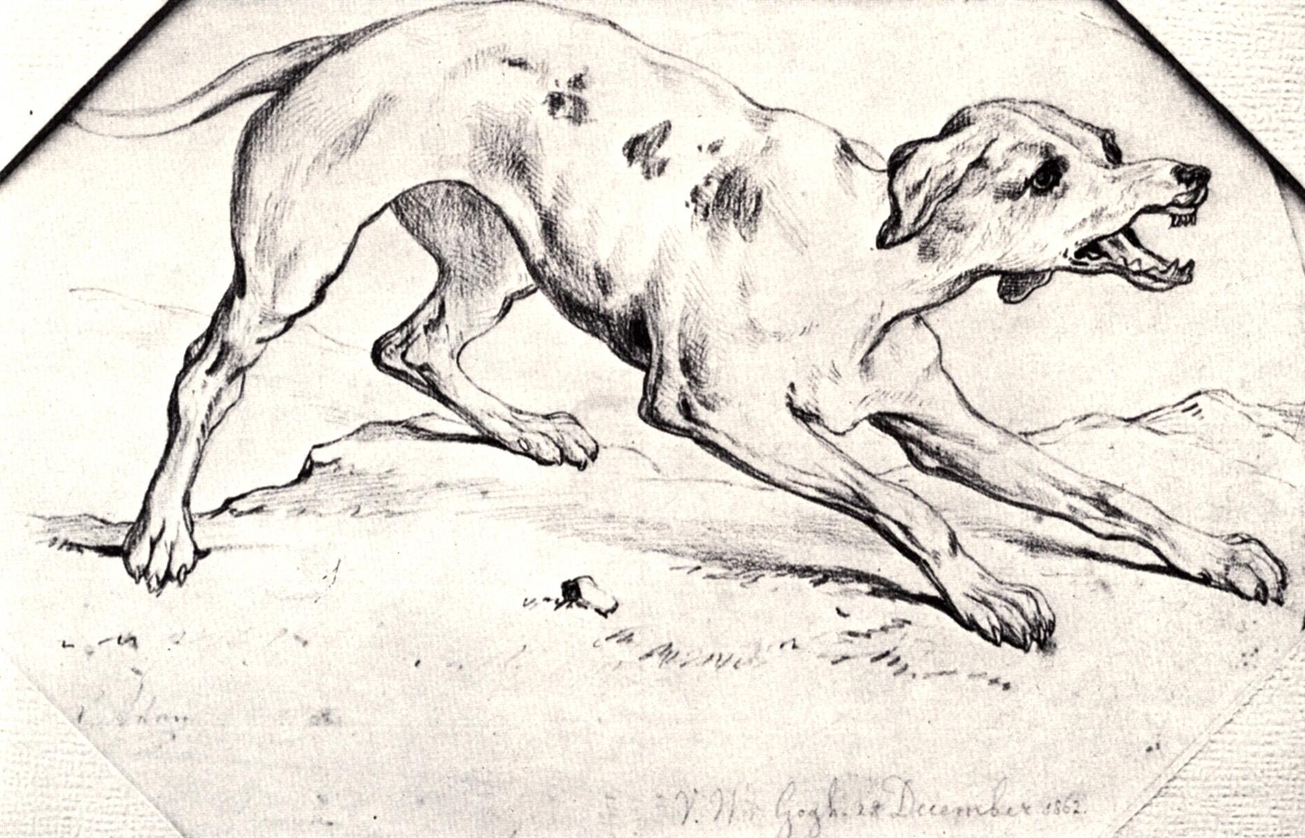 Cane (1862), Van Gogh
