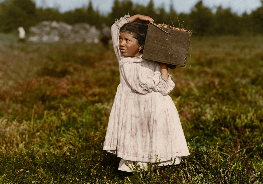Jennie Camillo, raccoglitrice di mirtilli di 8 anni, Pemberton, New Jersey, 1910