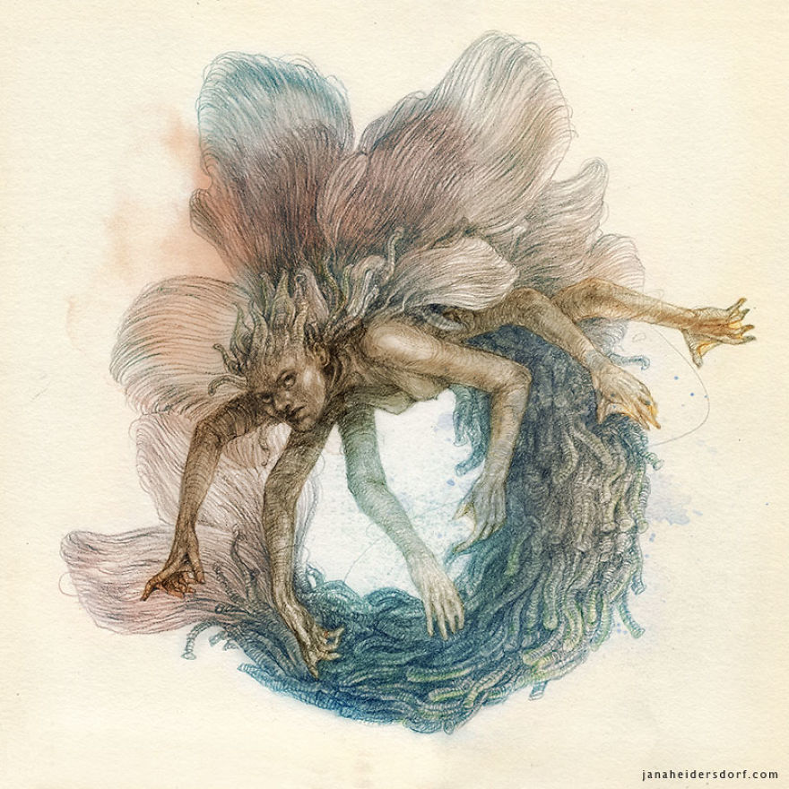Serra Papilio