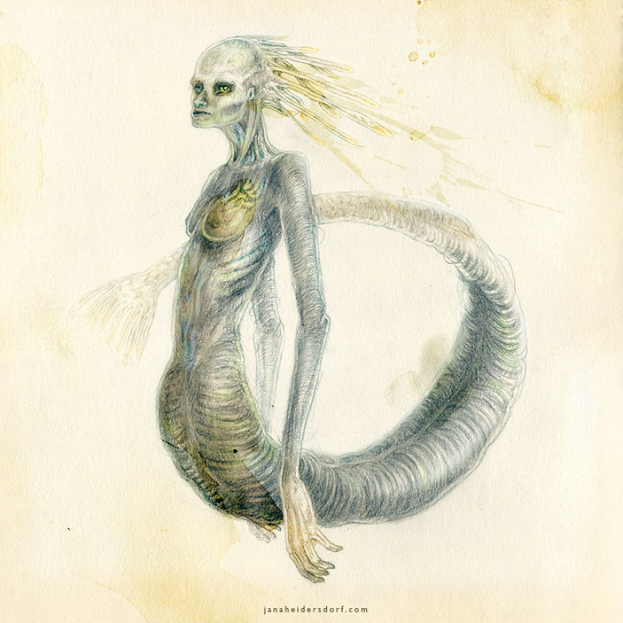 Serra Pellucidum