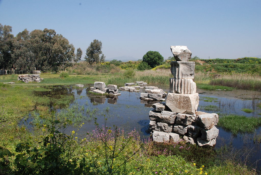 Ciò che rimane oggi rimane del Tempio di Artemide ad Efeso